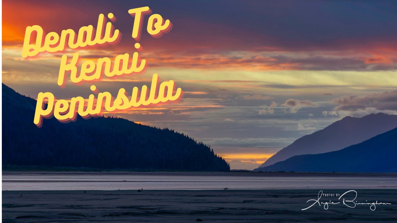 Alaska Road Trip : Denali to Kenai Peninsula