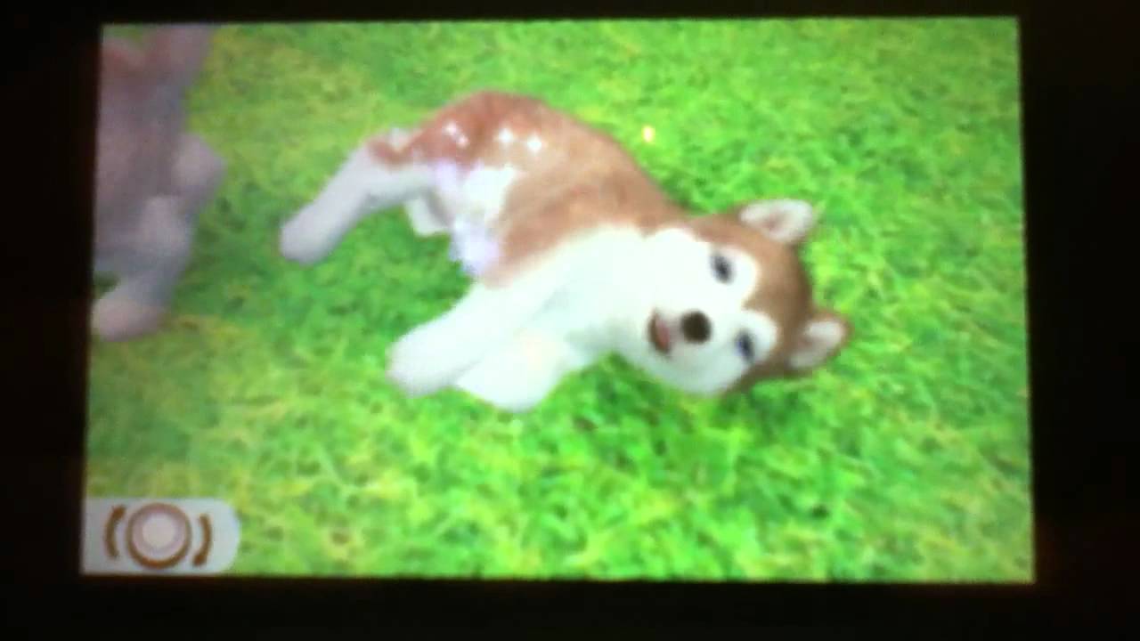 Nintendogs+Cats-All 27 Breeds Part 1 of 3