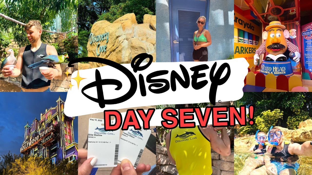 DAY 7 | DISNEY WORLD FLORIDA VLOG! Discovery Cove & Hollywood Studios, May 2022