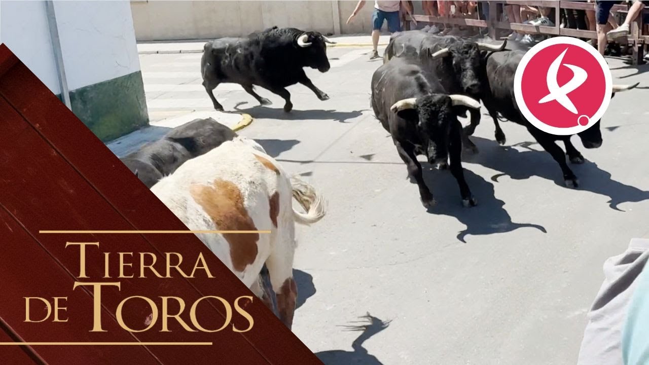 Los de Carmen Valiente cierran las fiestas en Moraleja | Tierra de Toros