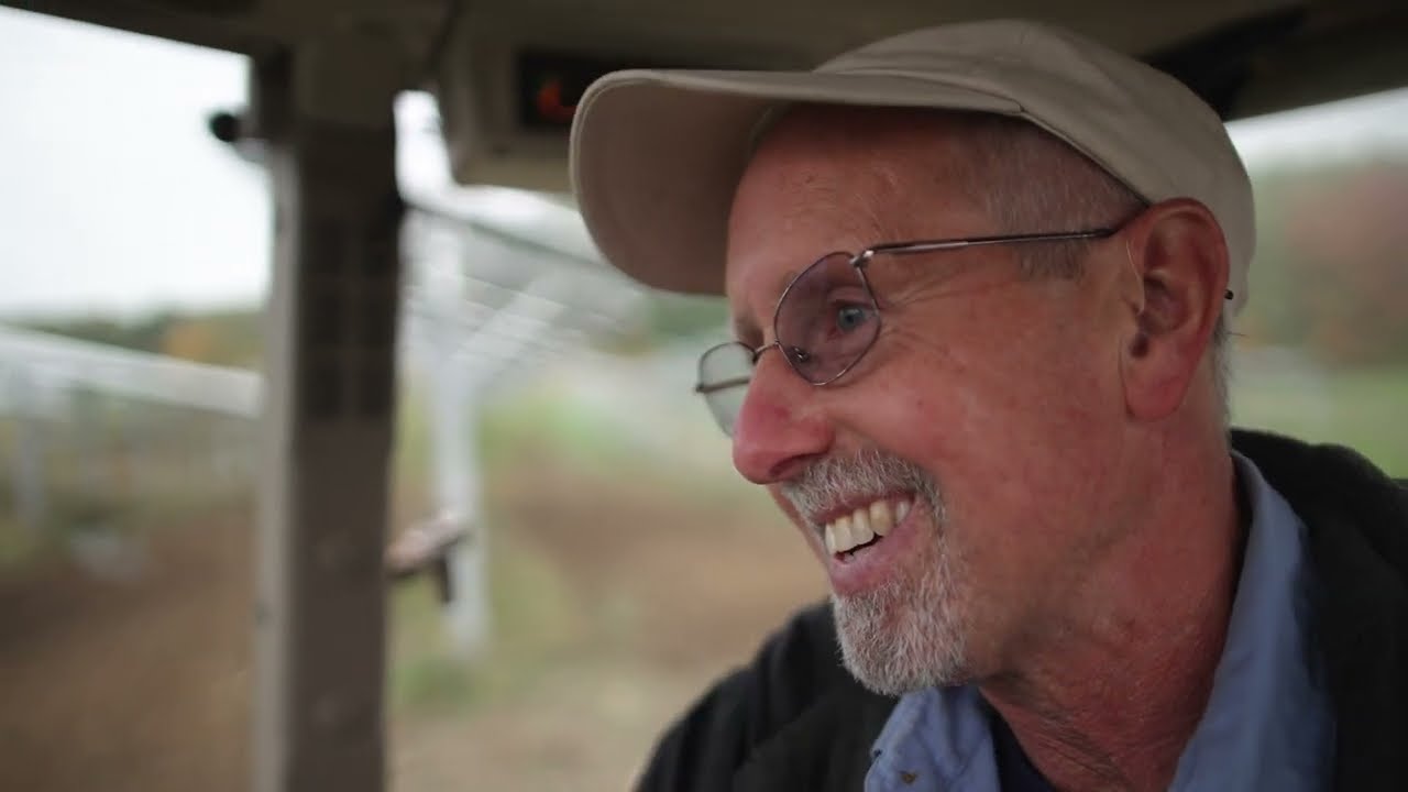 How Agrisolar Helped the Cows Come Home to One Northeast Farm