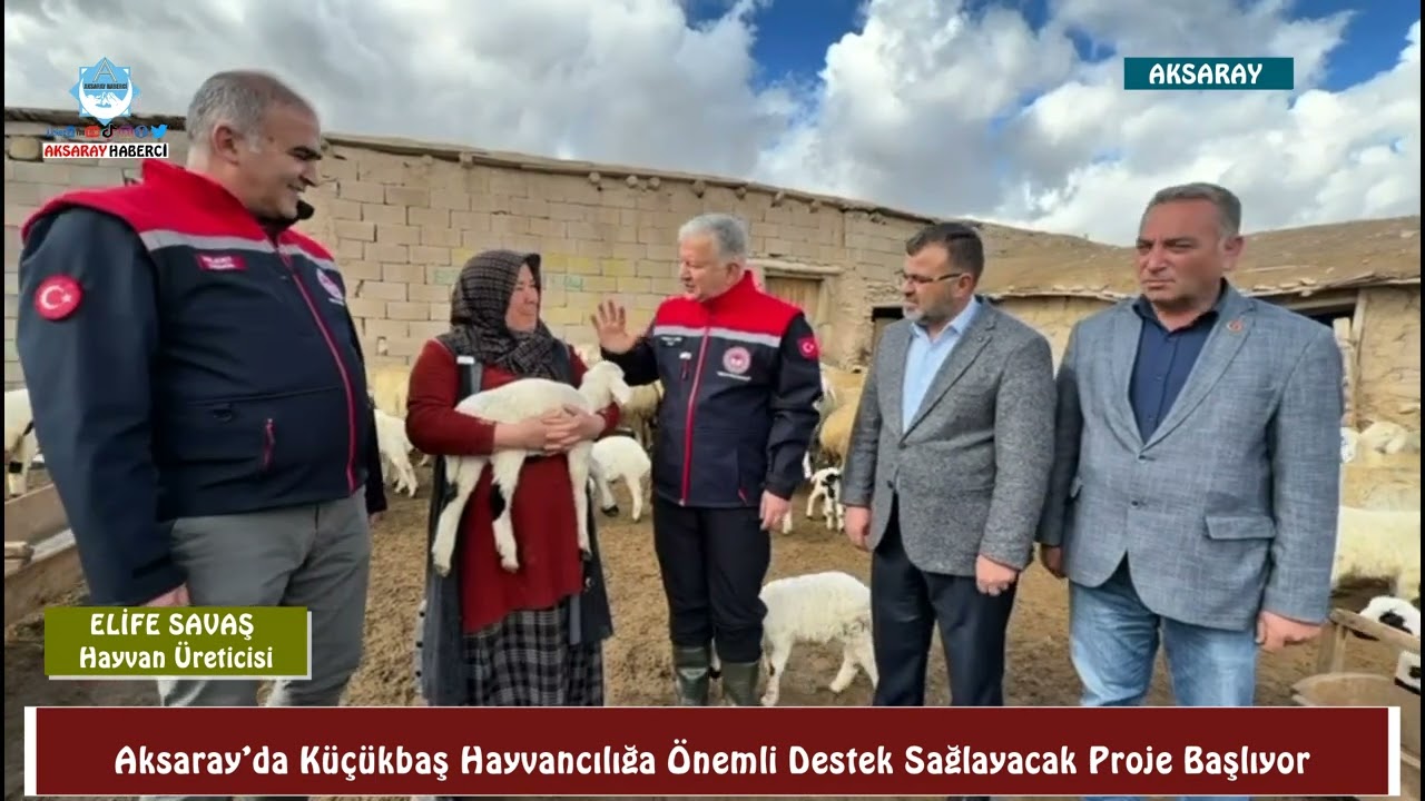 Aksaray’da küçükbaş hayvancılığa önemli destek sağlayacak proje başlıyor