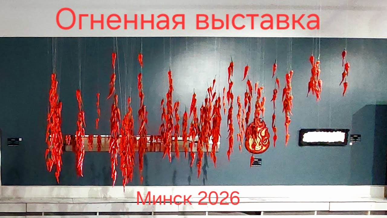 37. Выставка 