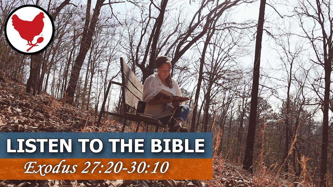 Listening To the Bible | Peaceful Scripture Reading