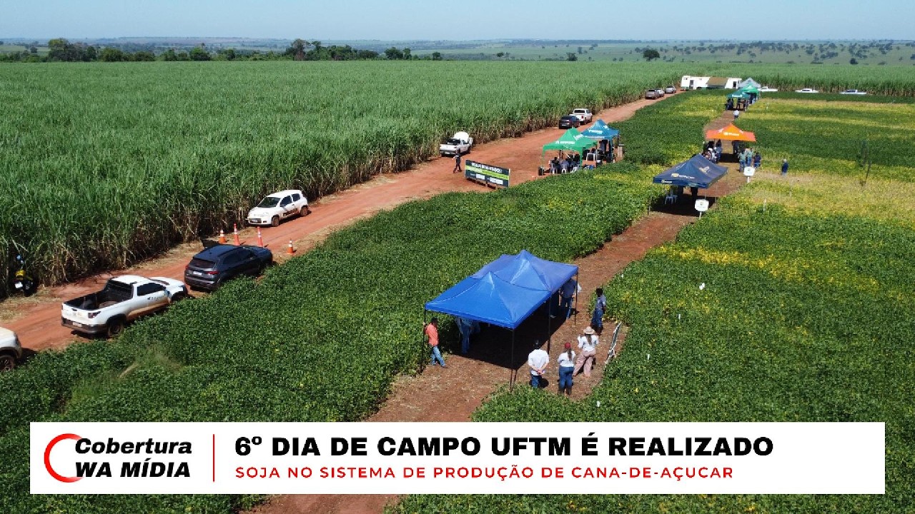 Iturama: 6ª Edição do Dia de Campo da UFTM é realizada