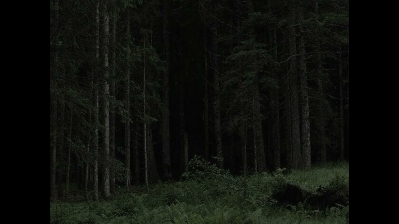 Taxidermy Girl slowed + heavy reverb