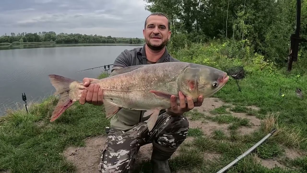 ПОПАЛИ НА ДИКИЙ ЖОР!!!! Рыбалка с ночевкой на толстолоба