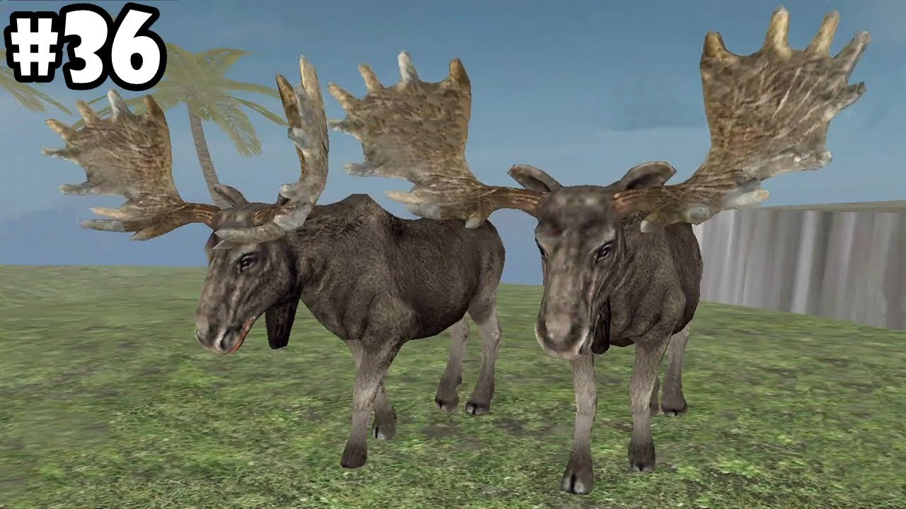 Wild Animals Online - Moose -Group Battle- Android/iOS - Gameplay Episode 36