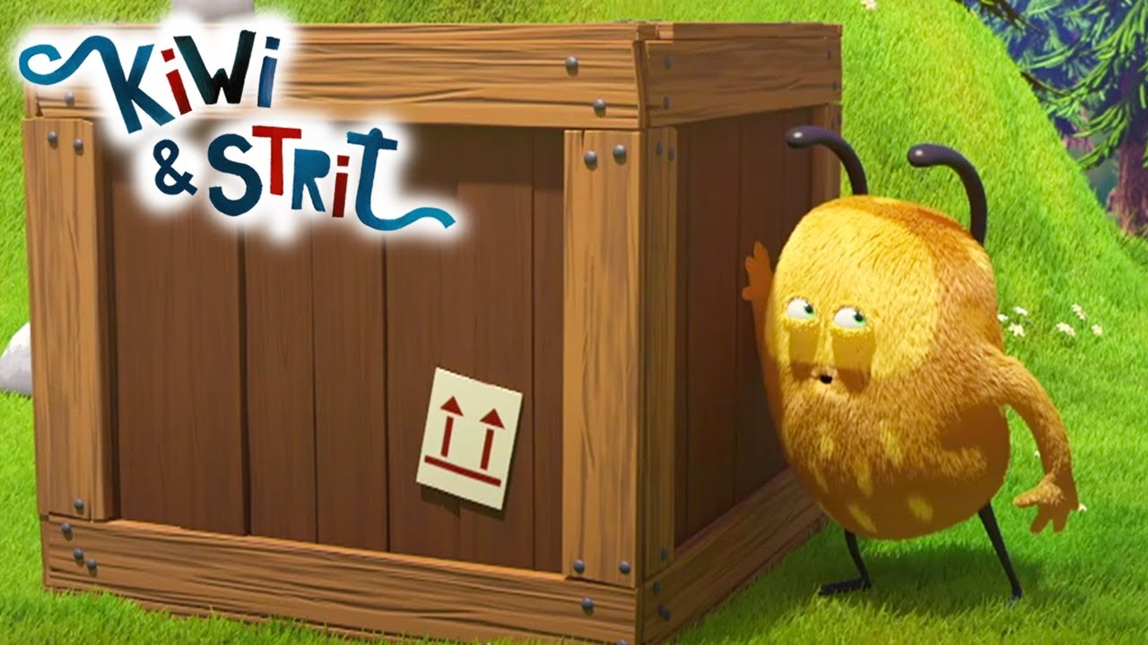 The Mystery Box 👀KIWI & STRIT Official