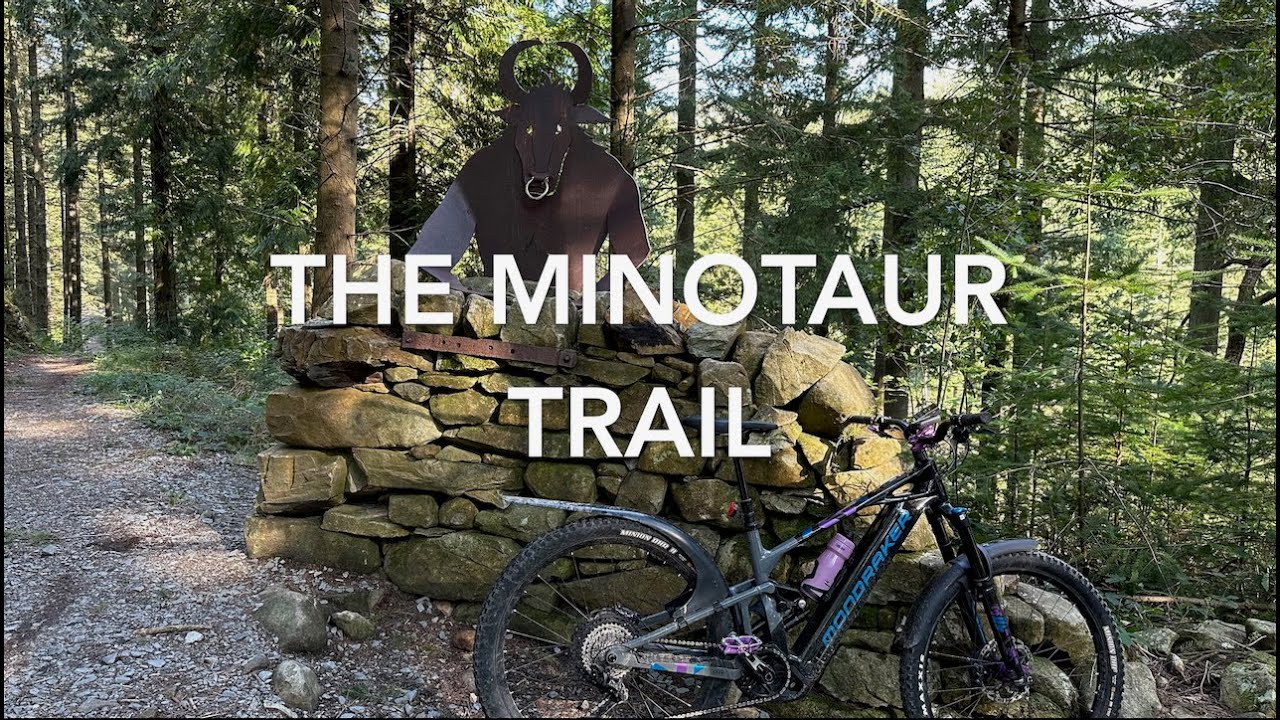 Coed-y-Brenin - The  Minotaur Trail