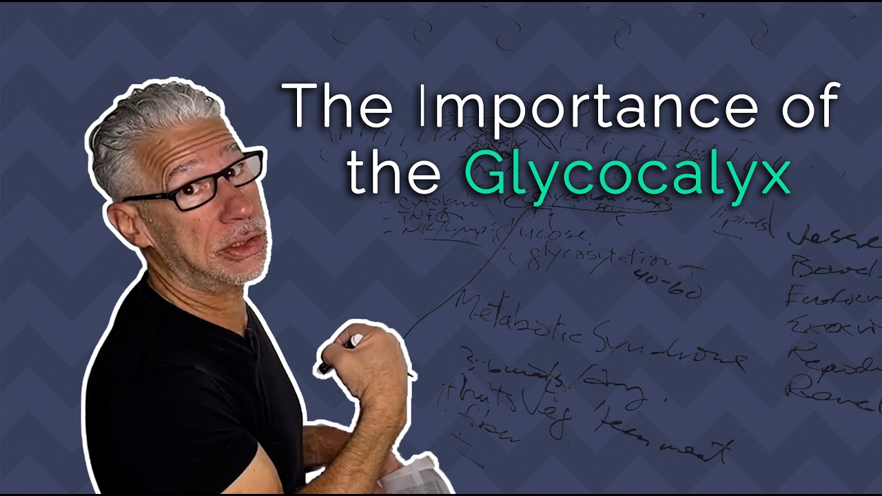 The Importance of the Glycocalyx