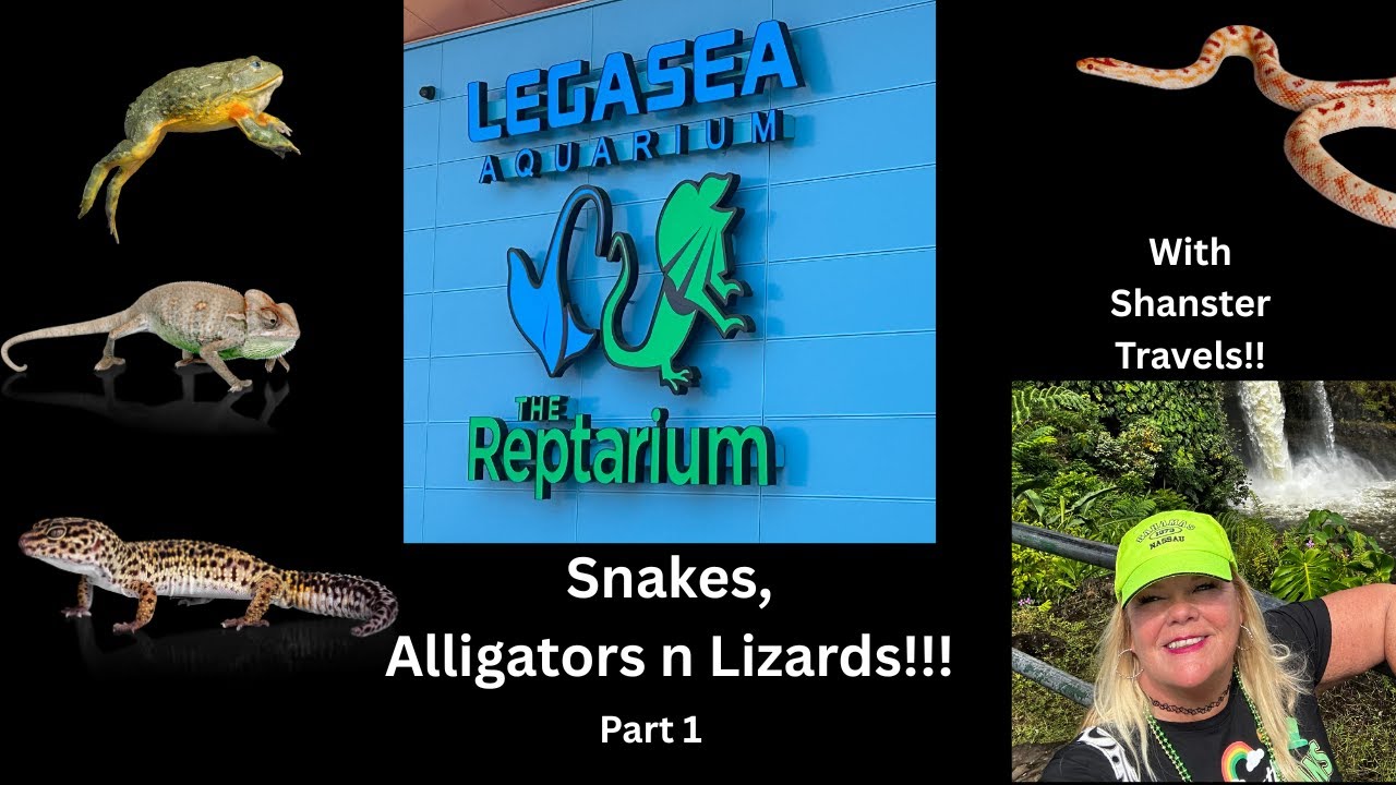 See the New Legasea Aquarium in Utica Michigan! 2025