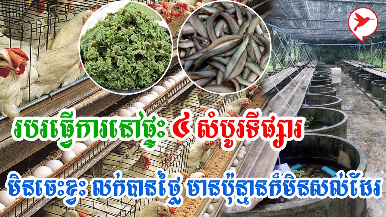 របរធ្វើការនៅផ្ទះ ៤ សំបូរទីផ្សារមិនចេះខ្វះ លក់បានថ្លៃ មានប៉ុន្មានក៏មិនសល់ដែរ