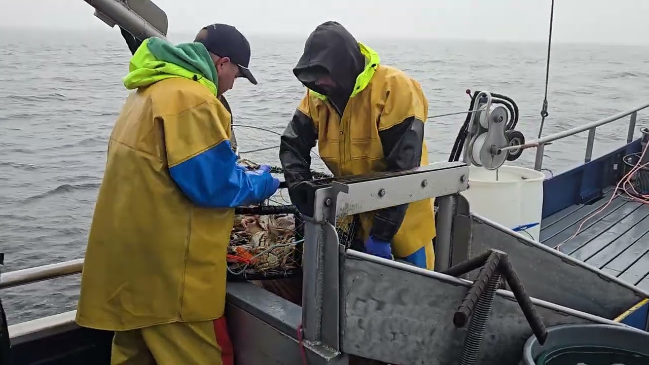 Hauling Guardian West Coast Sled and longline string