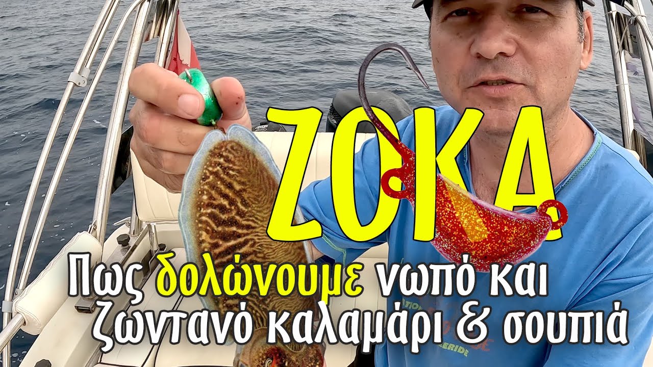 Πως δολώνουμε στη ζόκα, νωπό και ζωντανό καλαμάρι ή σουπιά. Bonus ψάρεμα συναγρίδα 5,2 κιλά