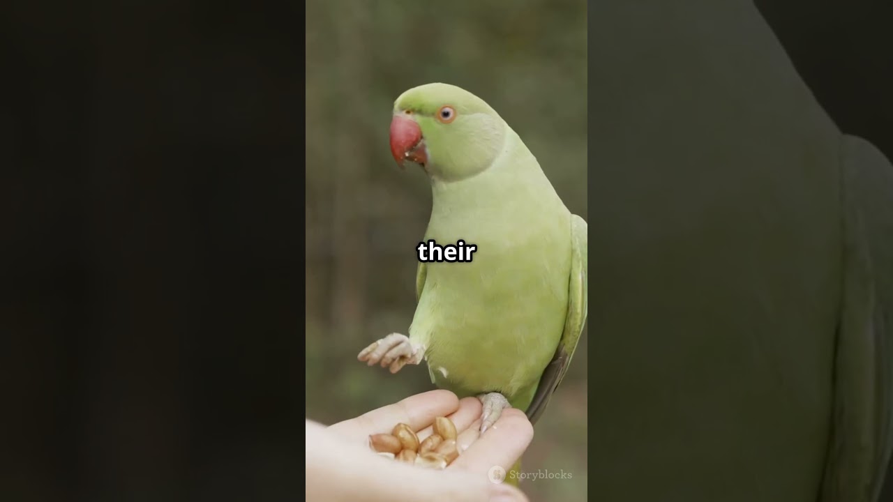 These Pets Have REAL Superpowers! 🐾🦸&zwj;♂️ #AnimalSuperpower#petfacts #DogFacts #CatFacts#funfacts