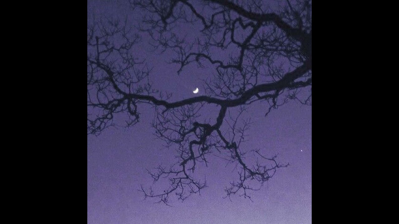 (free) alternative math rock + basement + shoegaze type beat - 