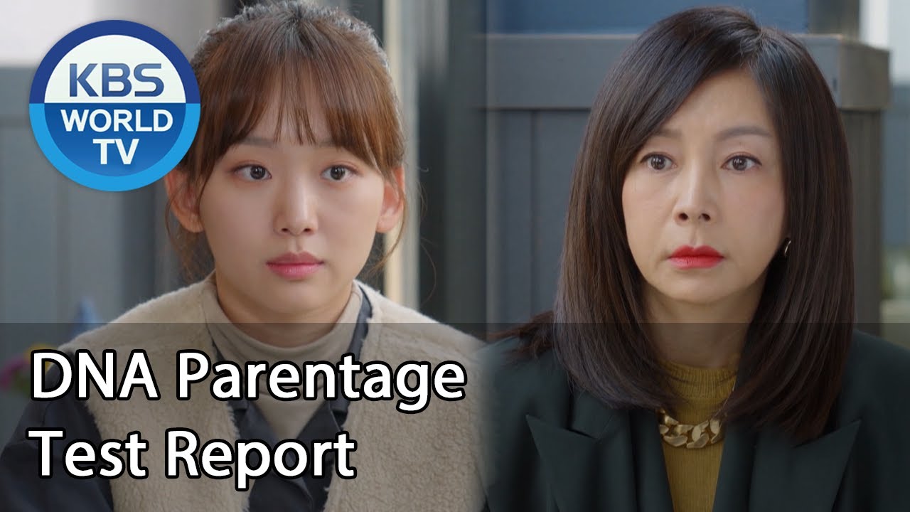 DNA Parentage Test Report (Homemade Love Story) | KBS WORLD TV 201122