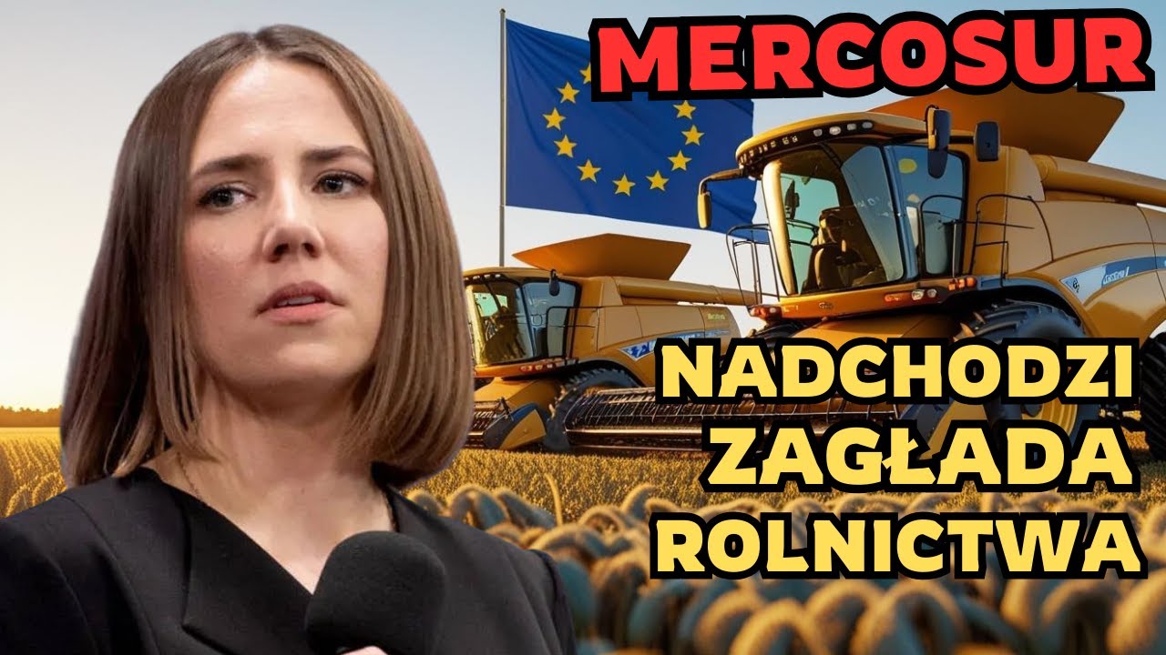 Czy umowa Mercosur zniszczy polskie rolnictwo? Anna Bryłka ostrzega