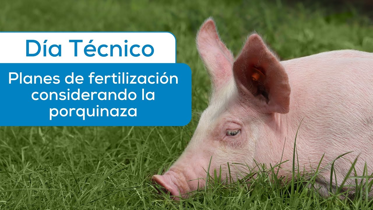 Planes de fertilización considerando la porquinaza