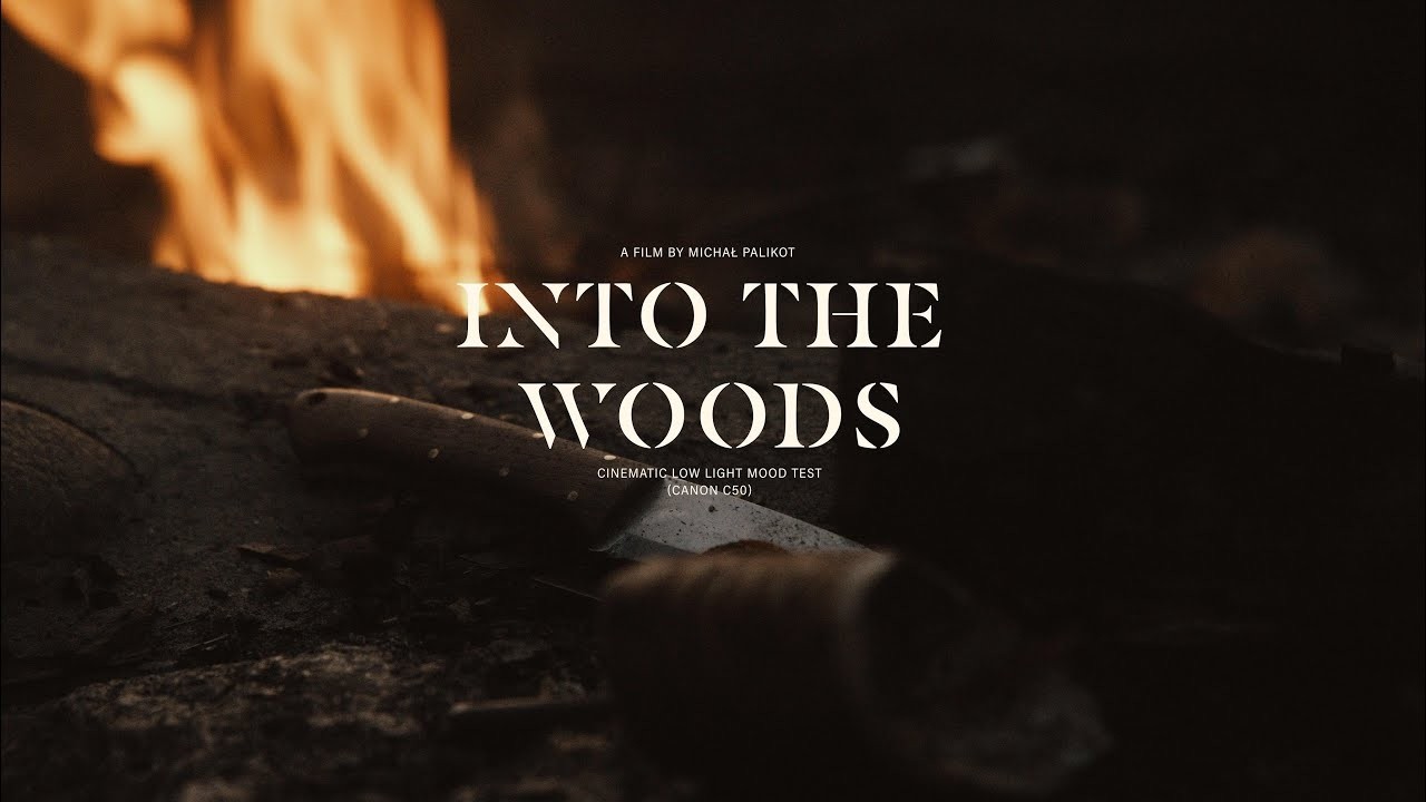 Into the Woods | Cinematic Low Light Mood Test Open Gate 3:2 (Canon C50) 7K