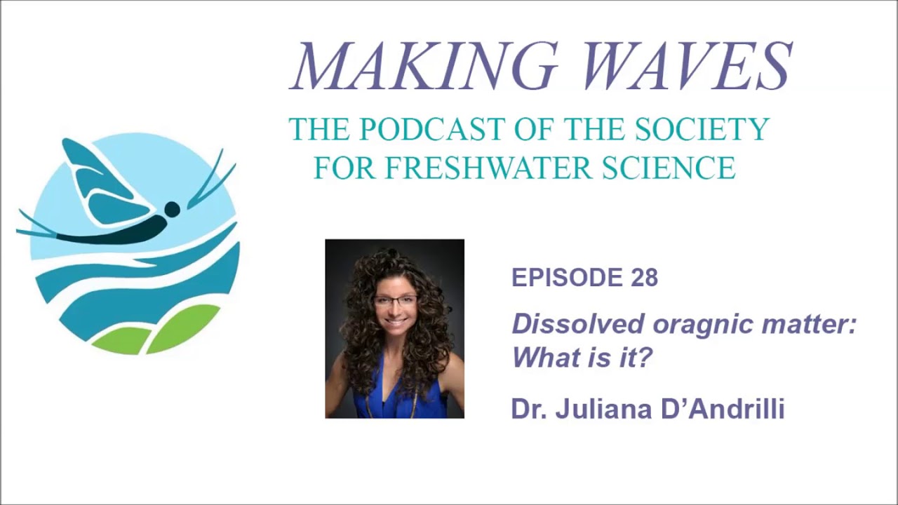 Making Waves - Ep. 28: Dissolved organic matter: what is it?