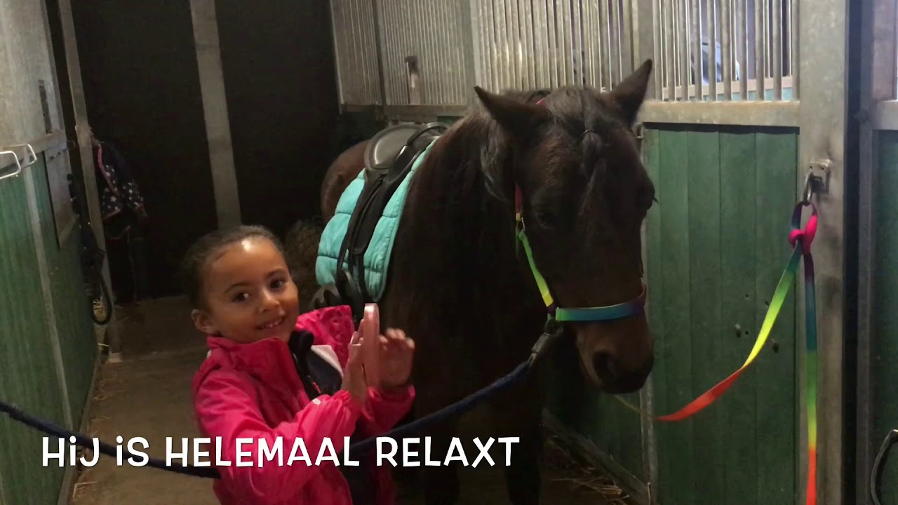 Even voorstellen.. dit is Bobbie Dartmoor, nieuw vriendje van Lola Shetlander