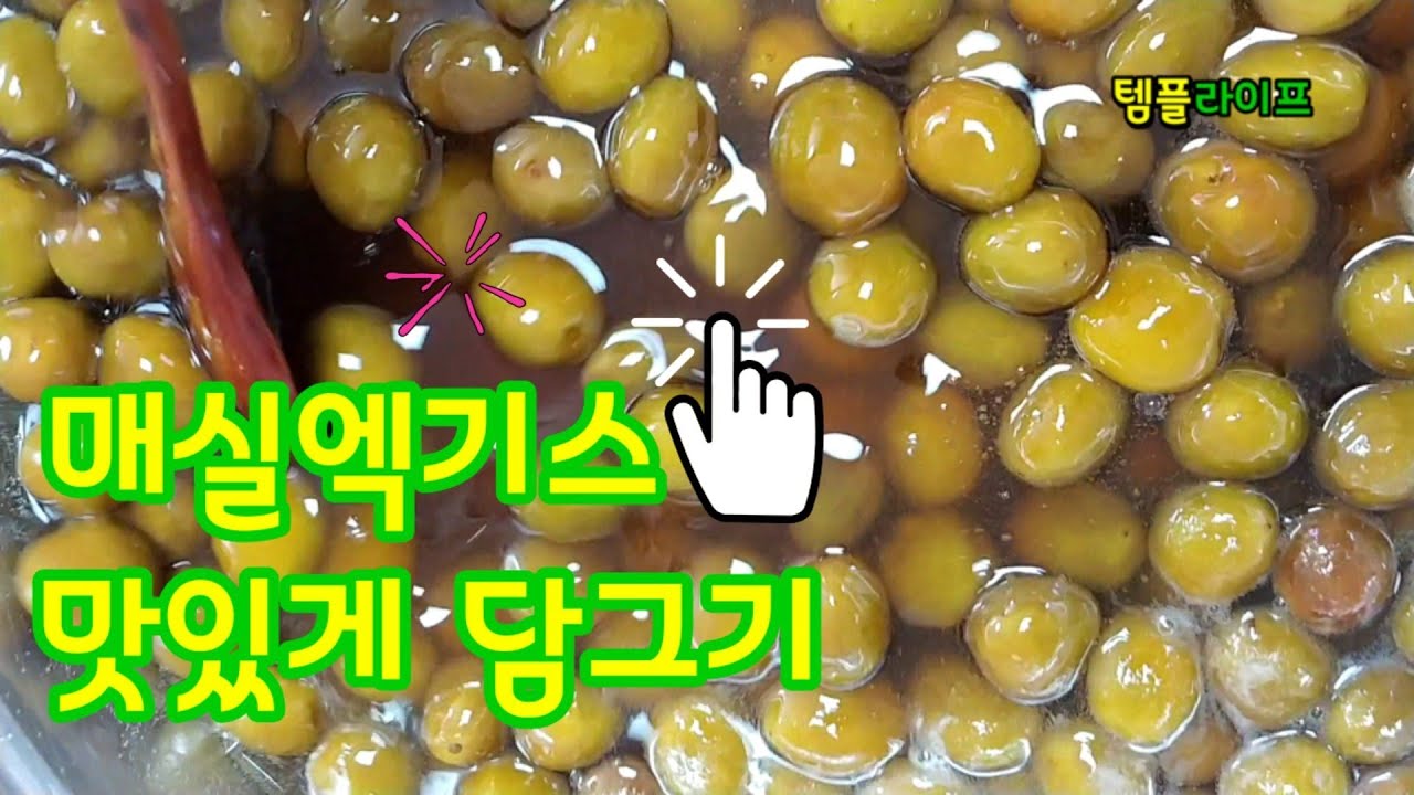 #매실청 (매실엑기스) - 30년 노하우 공개, 매실청과 효소의 차이. 담은지 1년후 매실의 놀라운 모습~  #매실청 #매실엑기스  #매실효소 #매실청주의점