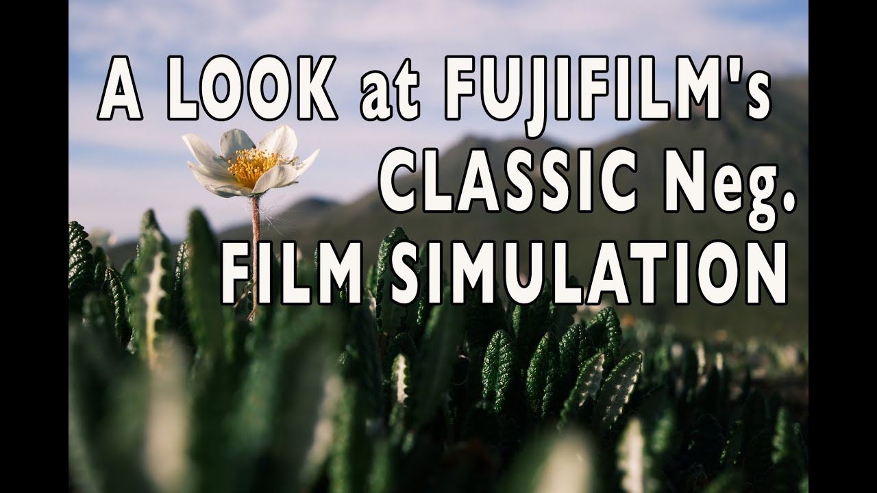 Взгляд на классическую имитацию негативной пленки FUJIFILM