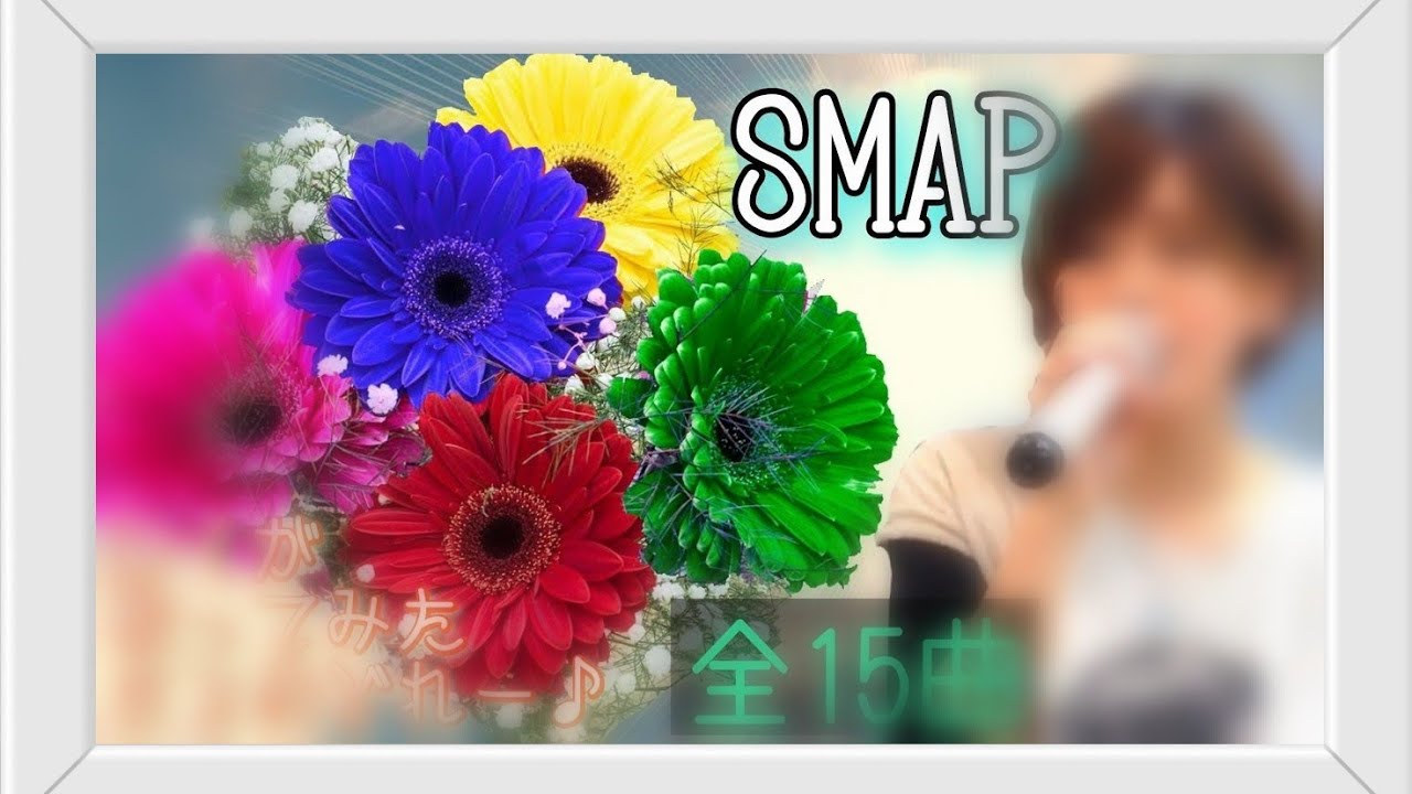 SMAP カラオケ 歌ってみた まとめ メドレー  15曲
