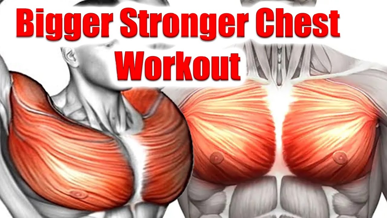 6 Best Chest Workouts for Bigger & Stronger Chest | Complete Gym Chest Exercises 2025