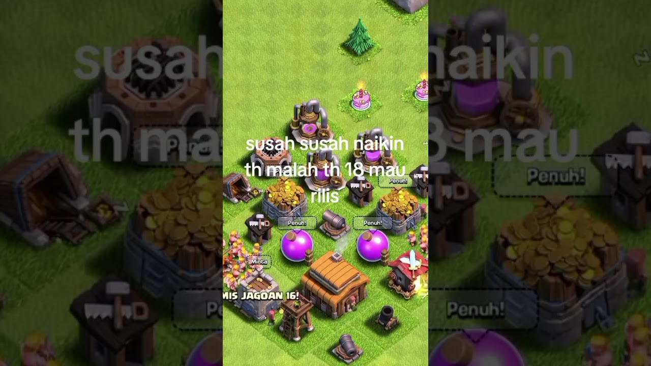 th kardus bisa apa