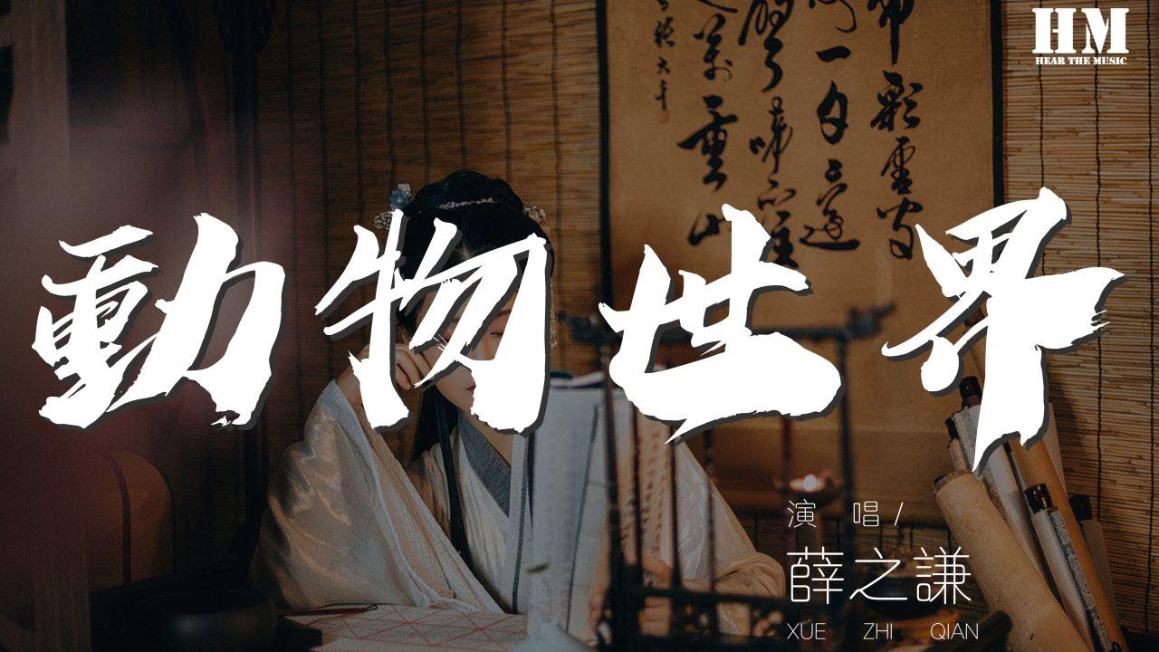 薛之謙 - 動物世界『東打一下西戳一下』【動態歌詞Lyrics】