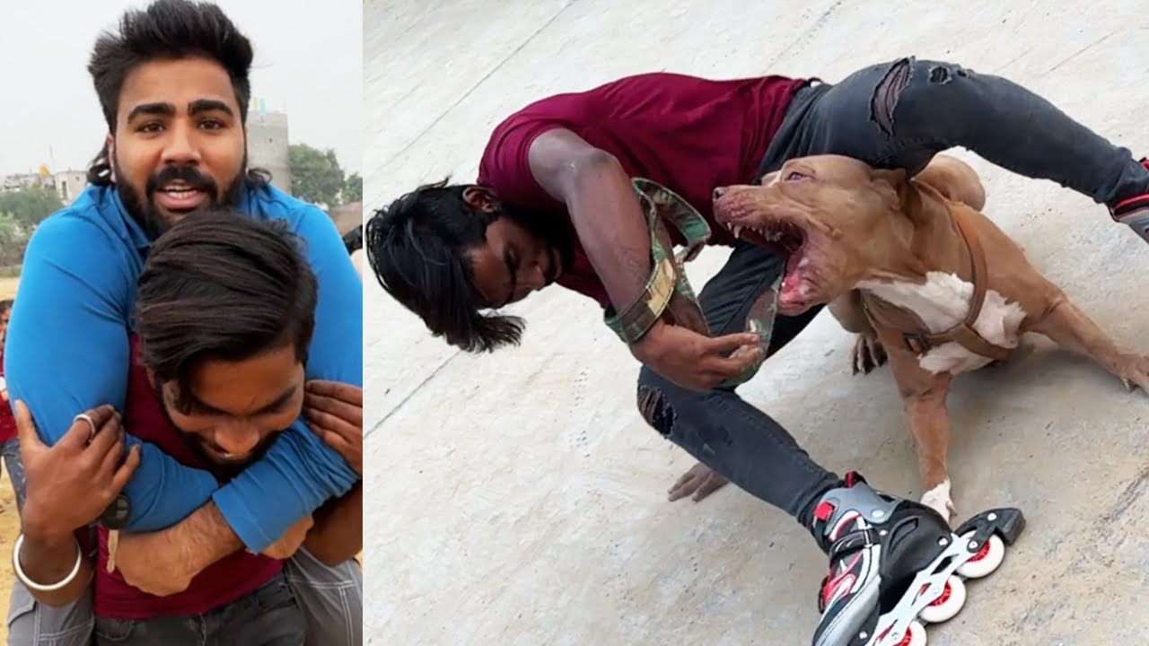 Duke ke upar gir gaya