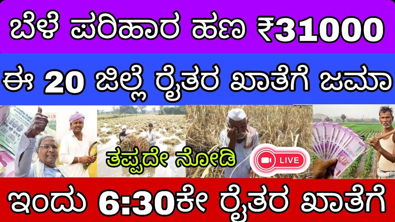 🌾31,000 ಬೆಳೆ ಪರಿಹಾರ ಹಣ ಇಂದು 20 ಜಿಲ್ಲೆ ರೈತರಿಗೆ ನಿಮ್ಮ ಜಿಲ್ಲೆಗೂ ಬಂತಾ 👆...