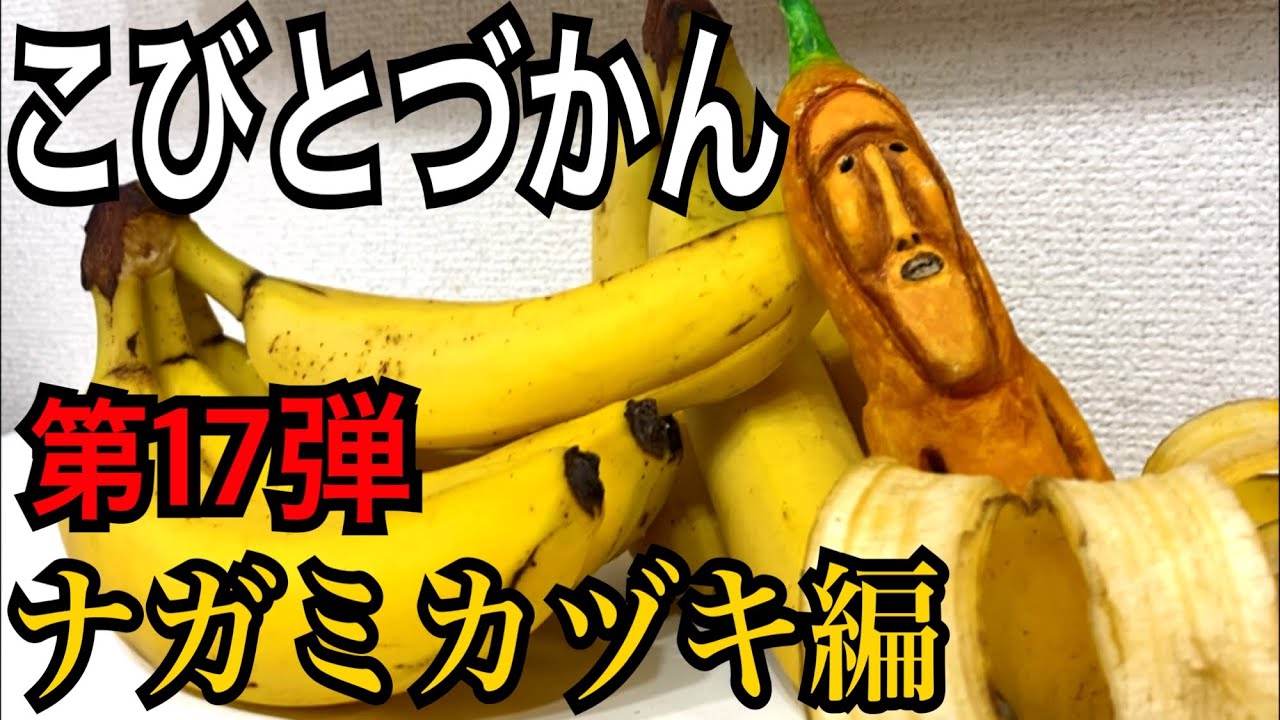 【こびとづかん】ナガミカズキ見つけるまで帰れま10！！