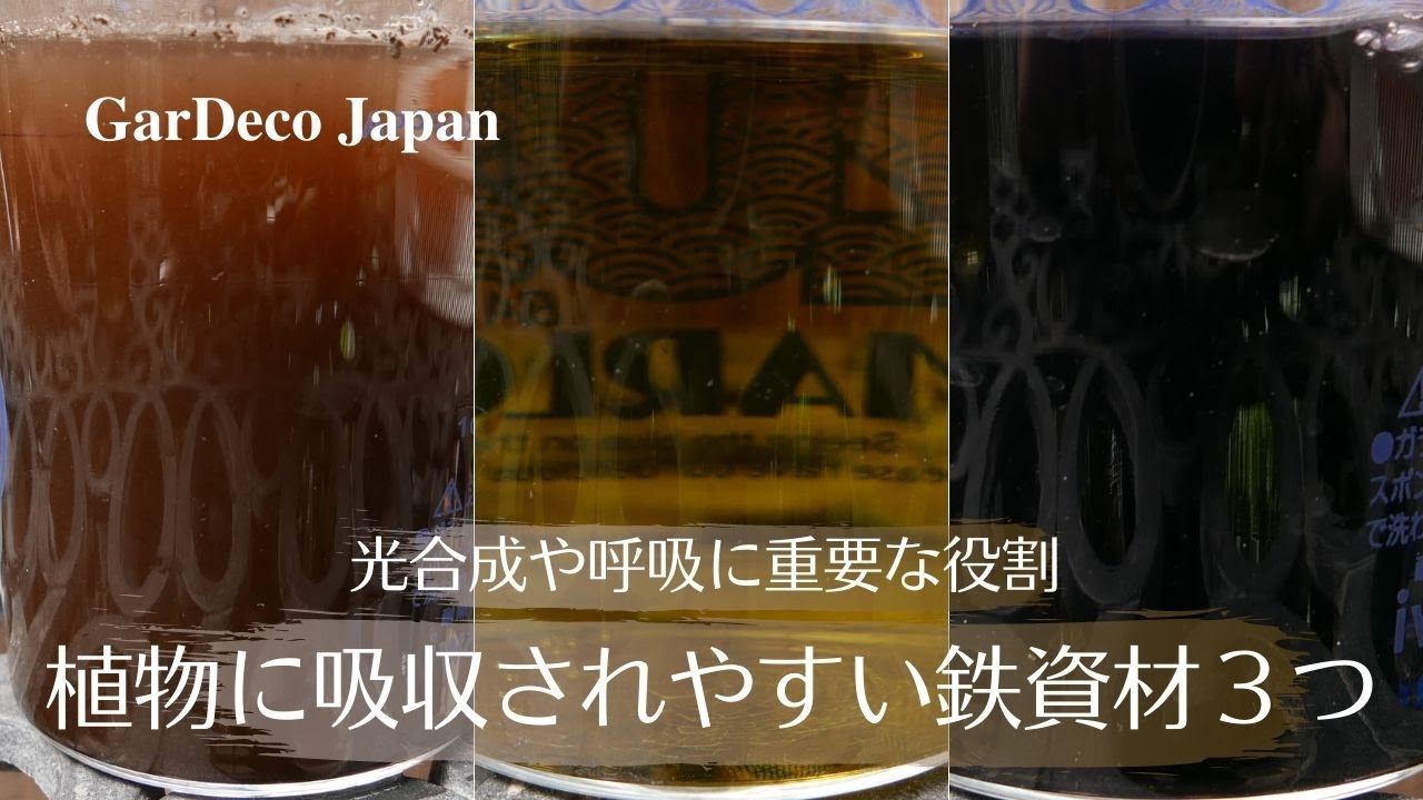 光合成や呼吸に重要な役割！植物に吸収されやすい鉄資材３つを手作りします