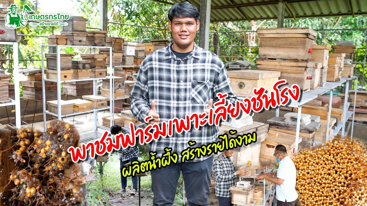 พาชมฟาร์มเพาะเลี้ยงชันโรง ผลิตน้ำผึ้งสร้างรายได้งาม l  เกษตรกรไทย สร้างรายได้ Ep177