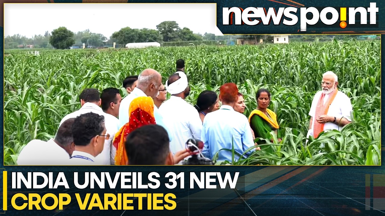 India's Rice Science Answers Global Food Security; 31-New High Performing Rice Varieties | WION