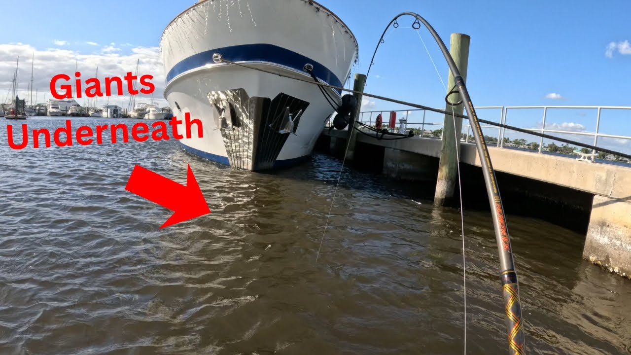 Giant Fish were Stacked Underneath this Yacht. Wintertime kayak fishing in Stuart, Florida