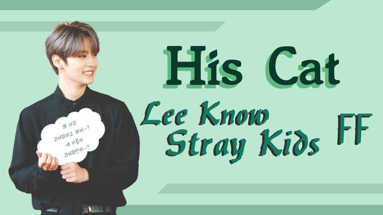 [Stray Kids Lee Know FF] His Cats [Oneshot]
