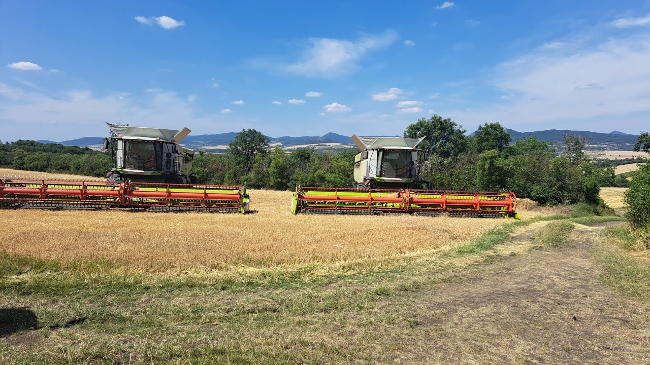 ZD Klapý/2X Nový CLAAS LEXION 8700/Žně 2023/Poslední hektary ozimního ječmene/GoPro H9