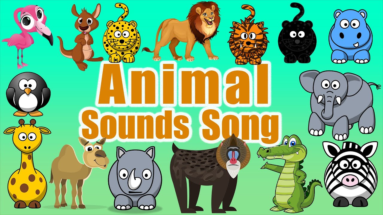 Zoo Animal Sounds | Toddlers Learning Video | LittleKidsTV