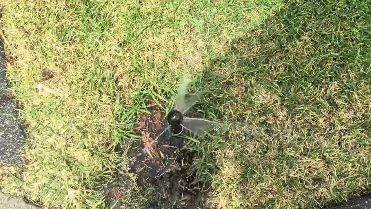 40 Hopkinson Sprinklers January 2026