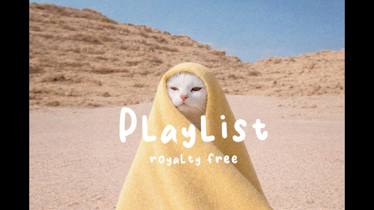 Royalty-Free🎧Smooth R&B Night Playlist 🌙