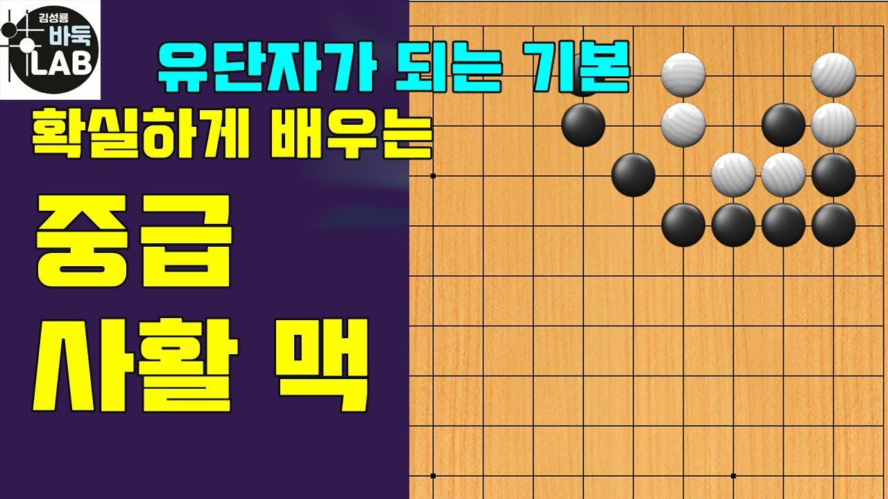 [바둑랩 강좌] 유단자가 되는길-중급사활맥11-14