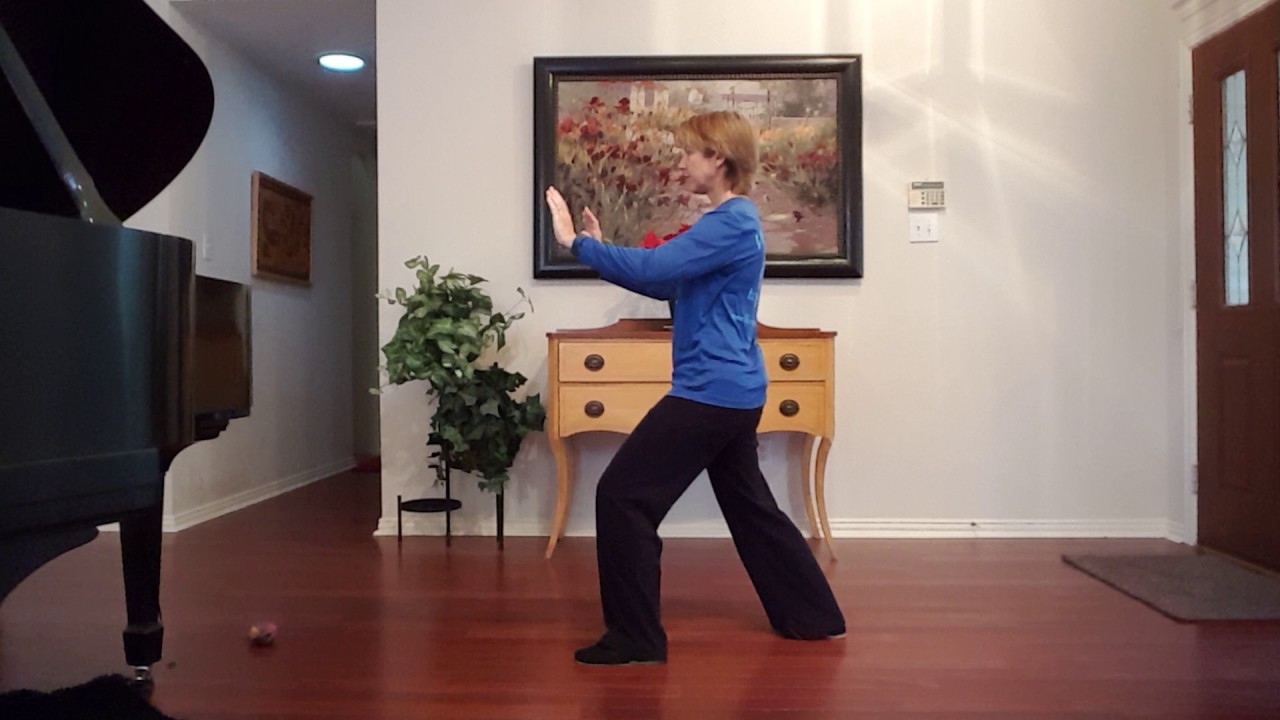Yang Style Tai Chi Stroking Birds Tail bridge 