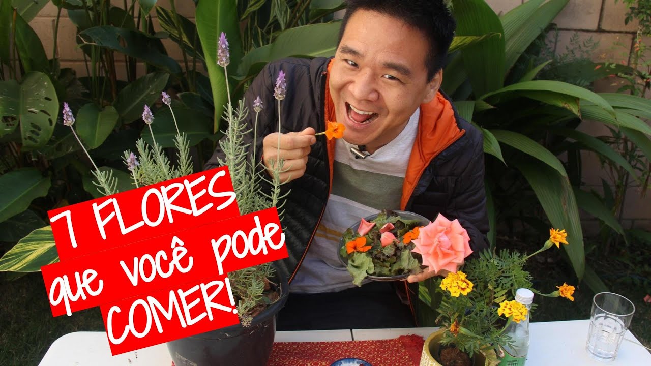 7 Flores COMESTÍVEIS