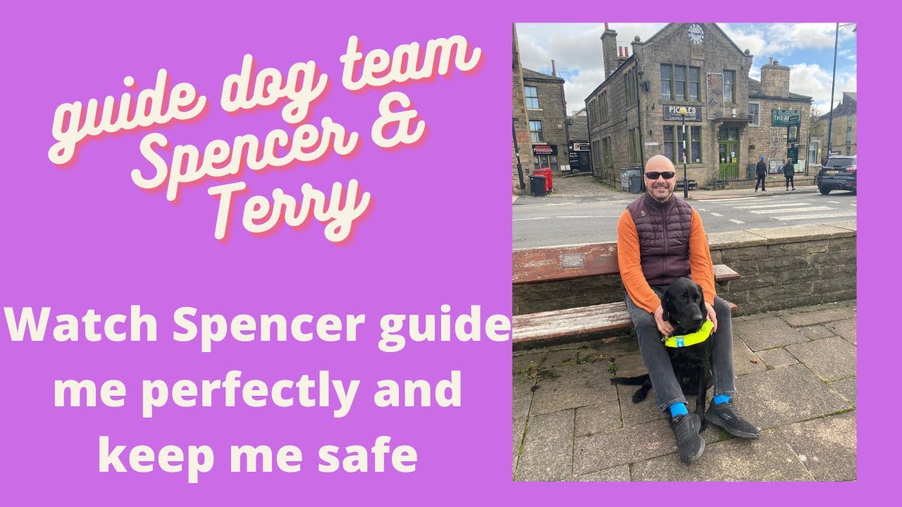 How Guide Dogs Guide a Blind Person
