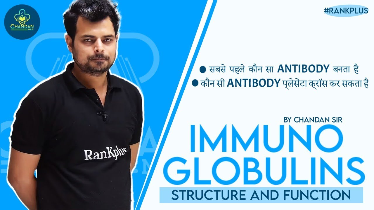 Immunoglobulins Structure and Function /Antibody Structure Types and Function | Chandan Mlt